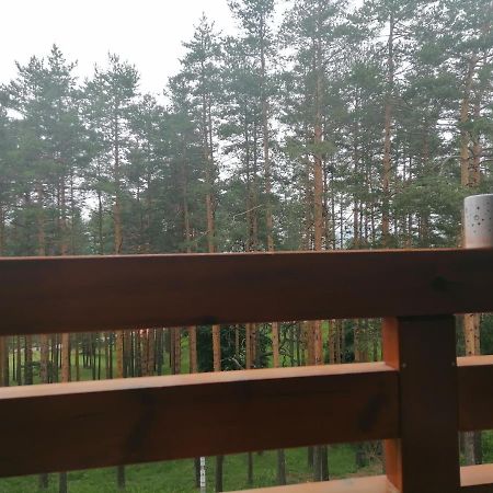 Apartman Nele Zlatibor Exterior foto